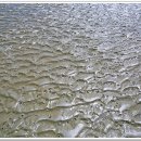 죽림어촌체험마을 이미지