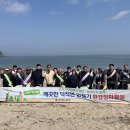 덕적면 면사무소 이미지