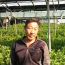 신마농장 이미지