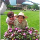 펠리체리조트 이미지