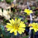 석산농장 이미지