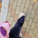 시드폴댄스 | 성신여대 폴댄스 학원 카이폴피트니스 💃 먹을것이 가득한 하루 ㅎㅎ/일본과자 크리스마스트리 성신여대...