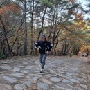 (주)거대마루 | 영덕 경주 부산 가을 여행, 살 찌는 계절 가을의 한 주 일상 기록