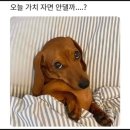 마이뭉 네이버블로그