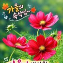 가 을 의 속 삭 임 이미지