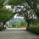 벚꽃길(에덴) 주유소 이미지