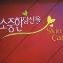 라임에스테틱
