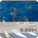 딥낚시 | 괌 돌핀투어 현지 예약 낚시 에메랄드밸리 추천