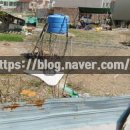 내서읍529 이미지