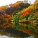 재스민향기 이미지