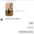충무승마장 | 천안 승마 체험 후기🐎_충무승마클럽
