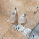 영우마을아파트 이미지