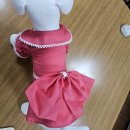 문화애견 이미지