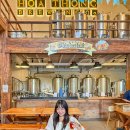 미로컴퍼니 | 나트랑 달랏투어 당일 패키지 일일투어 여행 후기