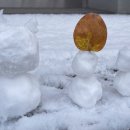 동해당약국 이미지