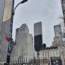 프라자호테르 이미지