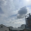 세일교육주 네이버블로그