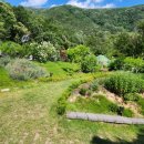 헤일로92 이미지