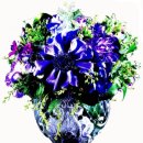 제주비전하우스 이미지