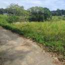 광시면010 이미지