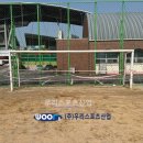 동성중학교 이미지