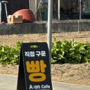 양도보건지소 | [전남/담양] 젤라또 맛집 베이커리 신상 담양 카페 '에이온'