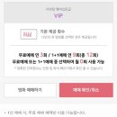 스텔라떡볶이 이미지