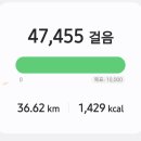 새남해농협중현지점 | 제 3차 남파랑길 23일 째 《4회차 6일 째》