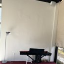 퍼피 그라운드 이미지