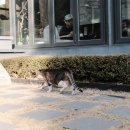 에티오피아13월 | 25.11.23. 로우키 헤이그라운드 '우리 집에 놀러와: 커피코스' 참여 후기