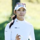 앨리슨 이미지