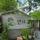 안다 동물보호소 | 삼성 SVP CSR 활동 평택 유기견 입양 봉사활둉 안다 동물보호소 후기