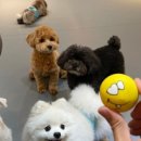 개린이미용실 이미지