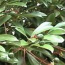 좋은가스 이미지