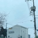 하울 | [파주/일산 애견카페] 감성적인 분위기에 반려견,견주 모두 만족한 &#34;하울픽스&#34;후기!