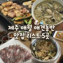 1658 | 제주 애월 애견동반 맛집 리스트 5곳 :: 부모님도 대만족하신 내돈내산 맛집 모음
