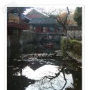 순천-59호 이미지