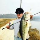 솜솜스테이 이미지