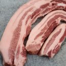 돼지가좋은세상 이미지