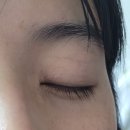 무결점 속눈썹