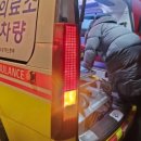 PCN | [임신 20주] 구급차만 2번, 죽다 살아난 요로결석 투병기 (증상, 대학병원 응급실, 스텐트 시술 후기)