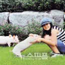 민화농장 이미지