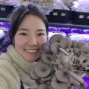 두리 농장 이미지