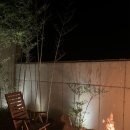 스테이 봄 이미지