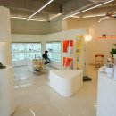 퍼피힐 강아지분양 | 대구강아지입양, 결국 선택은 대구강아지분양 홍스퍼피! 직접 다녀온 리얼 후기