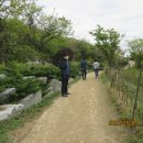곡성-148 티스토리