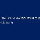 이제 이미지