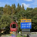 [제천] 제천여행 필수코스 가볼만한곳 청풍호반케이블카 청풍호유람선 / 가격 할인 예약방법 주차...
