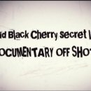 Acid Black Cherry Secret live Documentary off shot 이미지