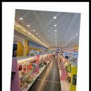 강아지랑 고양이 이미지